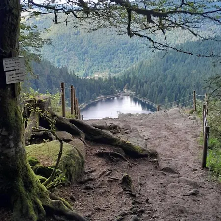 Σπίτι διακοπών La Pineguette Maison 12 Personnes 6 Pers Decoration Sauna 4 Pers *