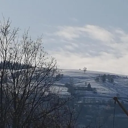 Σπίτι διακοπών La Pineguette Maison 12 Personnes 6 Pers Decoration Sauna 4 Pers La Bresse