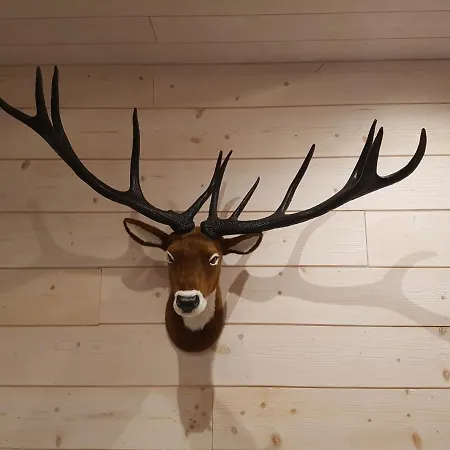 La Pineguette Maison 12 Personnes 6 Pers Decoration Sauna 4 Pers La Bresse