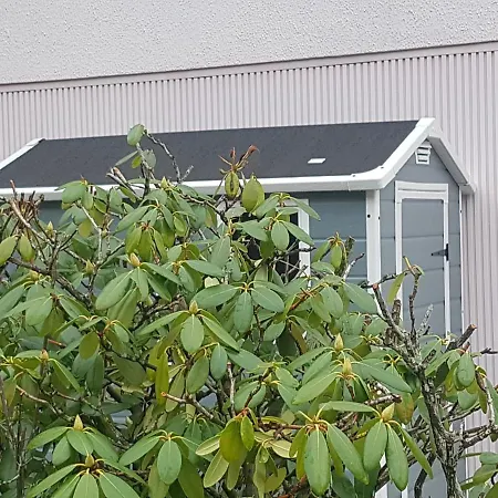 Σπίτι διακοπών La Pineguette Maison 12 Personnes 6 Pers Decoration Sauna 4 Pers *